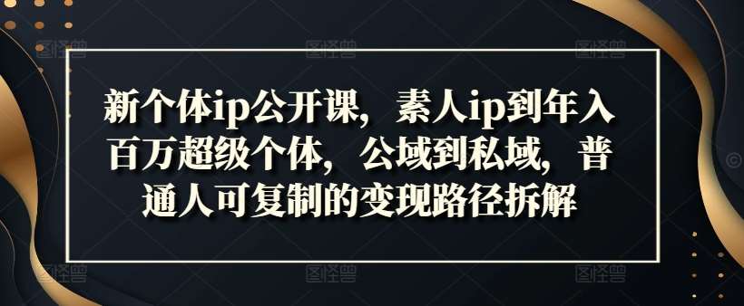 新个体ip公开课，素人ip到年入百万超级个体，公域到私域，普通人可复制的变现路径拆解-靠谱项目库