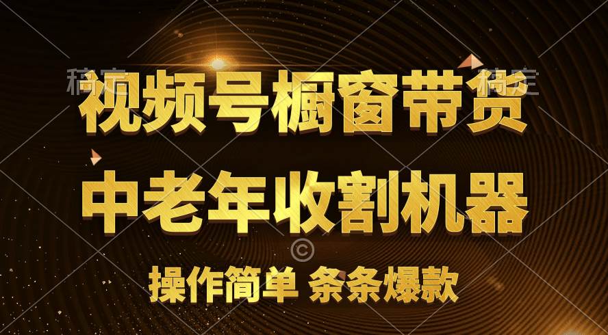 [你的孩子成功取得高位]视频号最火爆赛道，橱窗带货，流量分成计划，条…-靠谱项目库