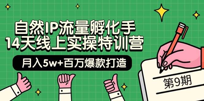 自然IP流量孵化手 14天线上实操特训营【第9期】月入5w+百万爆款打造 (74节)-靠谱项目库