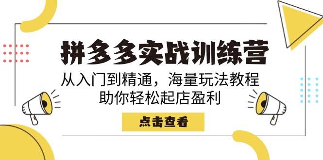（14392期）拼多多实战训练营，从入门到精通，海量玩法教程，助你轻松起店盈利-靠谱项目库