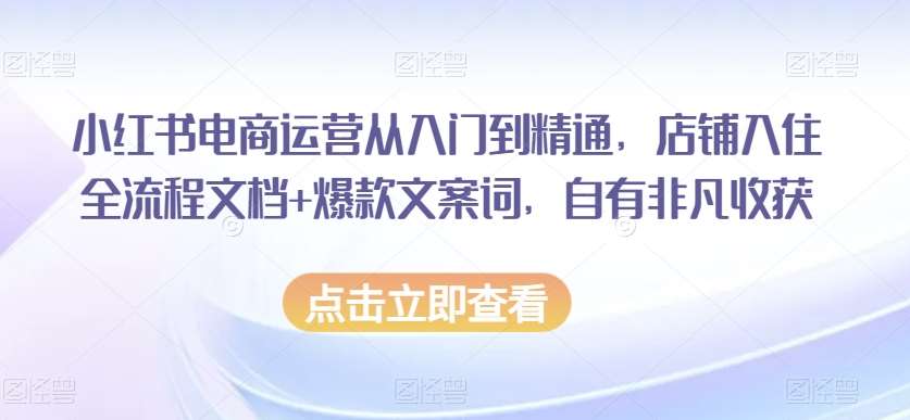 小红书电商运营从入门到精通，店铺入住全流程文档+爆款文案词，自有非凡收获-靠谱项目库