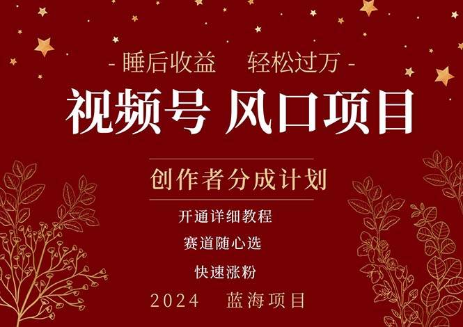 拥有睡眠收益的微信视频号大风口项目，轻松月入过万+，多赛道选择，可...-靠谱项目库
