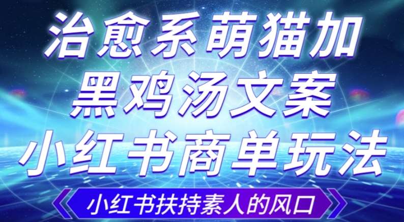 治愈系萌猫加+黑鸡汤文案，小红书商单玩法，3~10天涨到1000粉，一单200左右-靠谱项目库