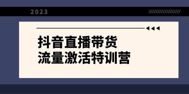 （8185期）抖音直播带货-流量激活特训营，入行新手小白主播必学（21节课+资料）-靠谱项目库