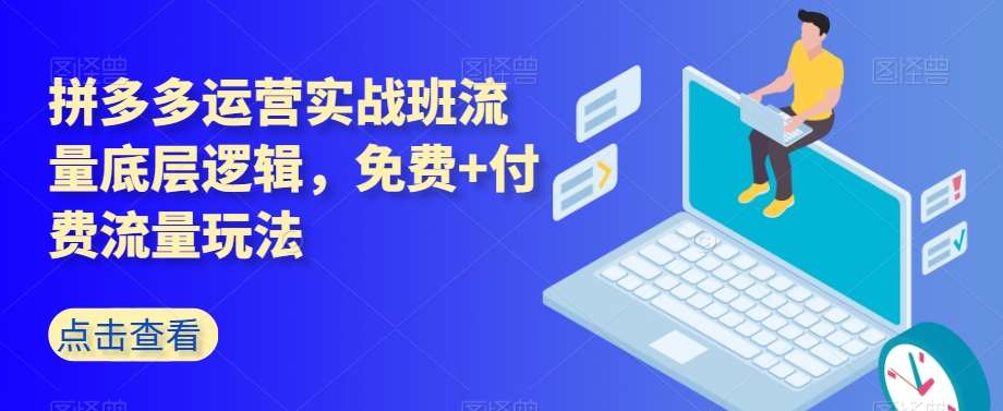 拼多多运营实战班流量底层逻辑，免费+付费流量玩法-靠谱项目库