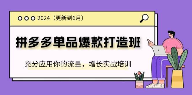 （11556期）2024拼多多-单品爆款打造班(更新6月)，充分应用你的流量，增长实战培训-靠谱项目库