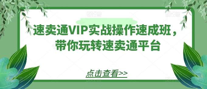 速卖通VIP实战操作速成班，带你玩转速卖通平台-靠谱项目库
