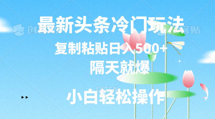 最新头条冷门玩法，隔天就爆，复制粘贴日入500+-靠谱项目库