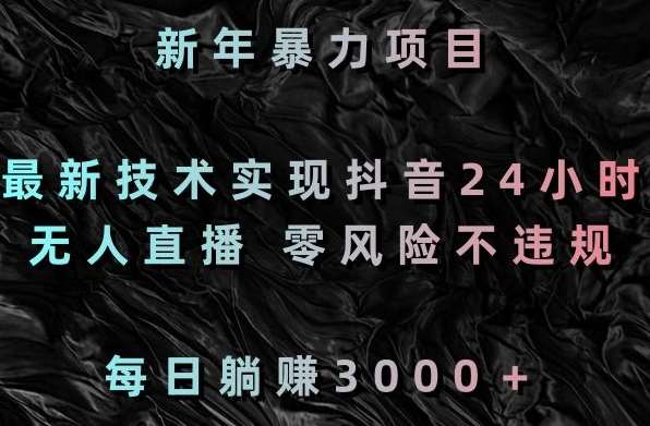 新年暴力项目，最新技术实现抖音24小时无人直播，零风险不违规，每日躺赚3000＋【揭秘】-靠谱项目库