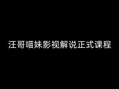 汪哥影视解说正式课程：剪映/PR教学/视解说剪辑5大黄金法则/全流程剪辑7把利器等等-靠谱项目库