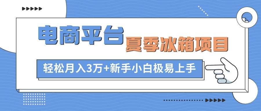 （10934期）电商平台夏季冰箱项目，轻松月入3万+，新手小白极易上手-靠谱项目库