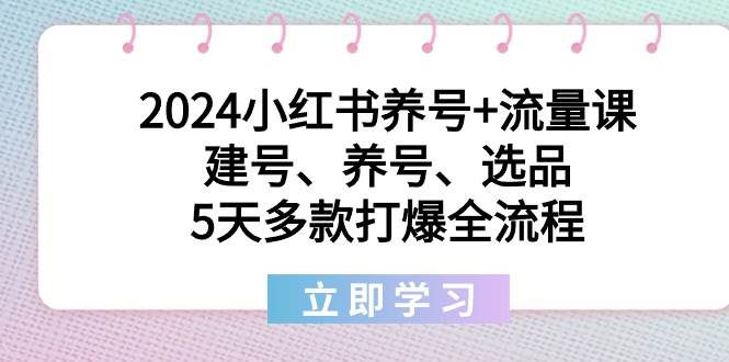 2024小红书养号+流量课：建号、养号、选品，5天多款打爆全流程-靠谱项目库