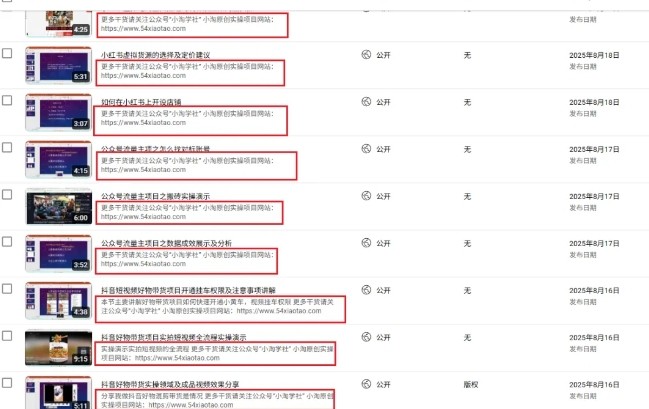 图片[2]-2025油管引流术，分享我是如何通过油管做引流的-靠谱项目库