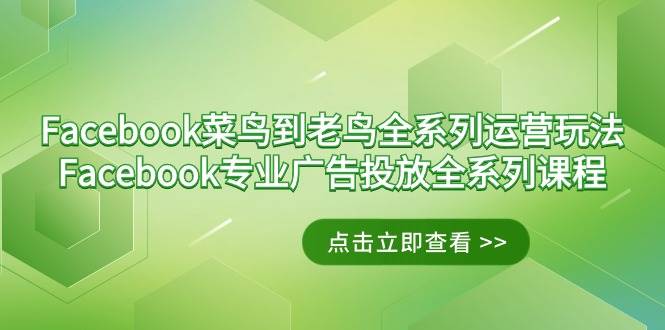 （9064期）Facebook-菜鸟到老鸟全系列运营玩法+Facebook-专业广告投放全系列课程-靠谱项目库