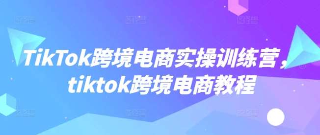 TikTok跨境电商实操训练营，tiktok跨境电商教程-靠谱项目库