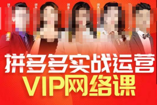 推易拼多多VIP全套直播课程，拼多多店铺实操玩法+实战玩法选款内功+直通车高阶等-靠谱项目库
