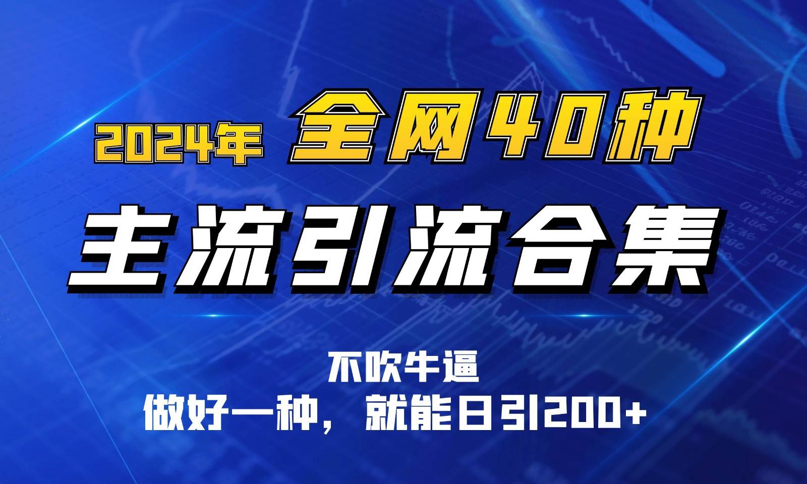 2024年全网40种暴力引流合计，做好一样就能日引100+-靠谱项目库