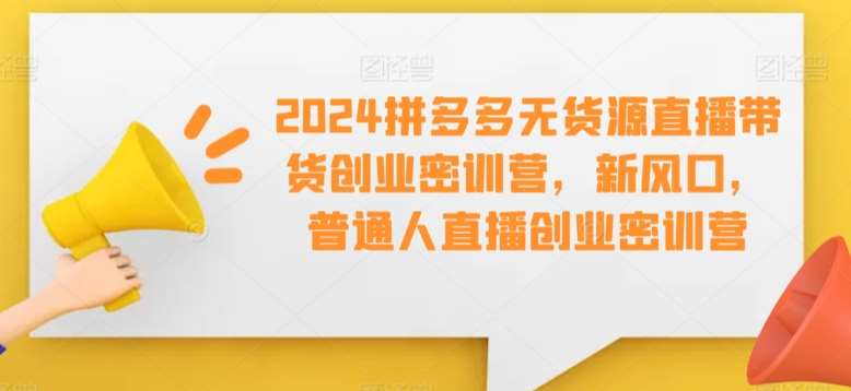 2024拼多多无货源直播带货创业密训营，新风口，普通人直播创业密训营-靠谱项目库