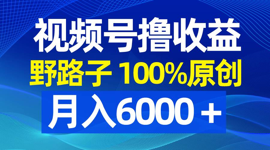 视频号野路子撸收益，100%原创，条条爆款，月入6000＋-靠谱项目库