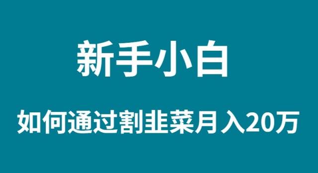 新手小白如何通过割韭菜月入 20W-靠谱项目库
