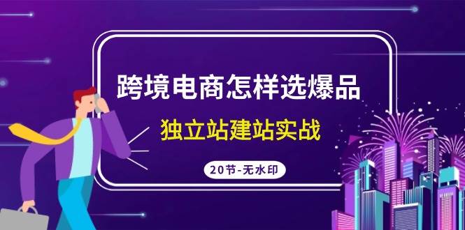 跨境电商怎样选爆品，独立站建站实战（20节高清无水印课）-靠谱项目库