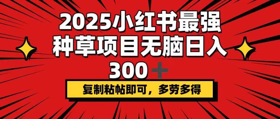 （14375期）2025小红书最强种草项目，无脑日入300+，复制粘帖即可，多劳多得-靠谱项目库