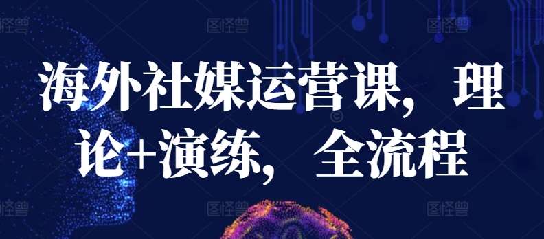 海外社媒运营课，理论+演练，全流程-靠谱项目库