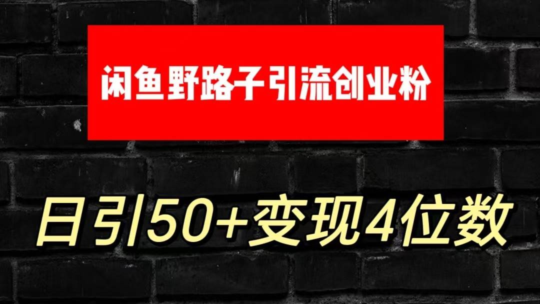 大眼闲鱼野路子引流创业粉，日引50+单日变现四位数-靠谱项目库