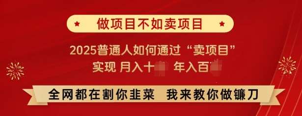 必看，做项目不如卖项目，2025普通人如何通过“卖项目”实现月入十个，年入百个-靠谱项目库