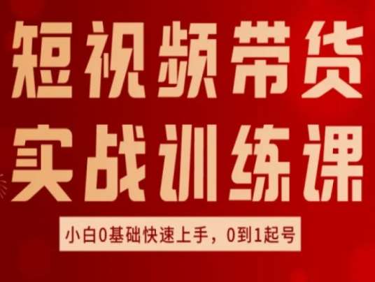 短视频带货实战训练课，好物分享实操，小白0基础快速上手，0到1起号-靠谱项目库