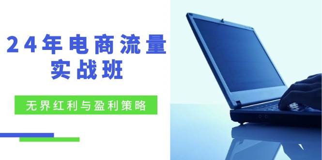 （12168期）24年电商流量实战班：无界 红利与盈利策略，终极提升/关键词优化/精准…-靠谱项目库