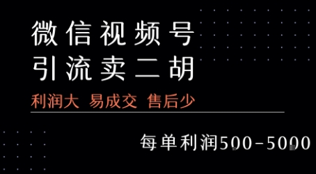 视频号卖二胡教程，利润大 易成交 售后少，一单利润5张+-靠谱项目库