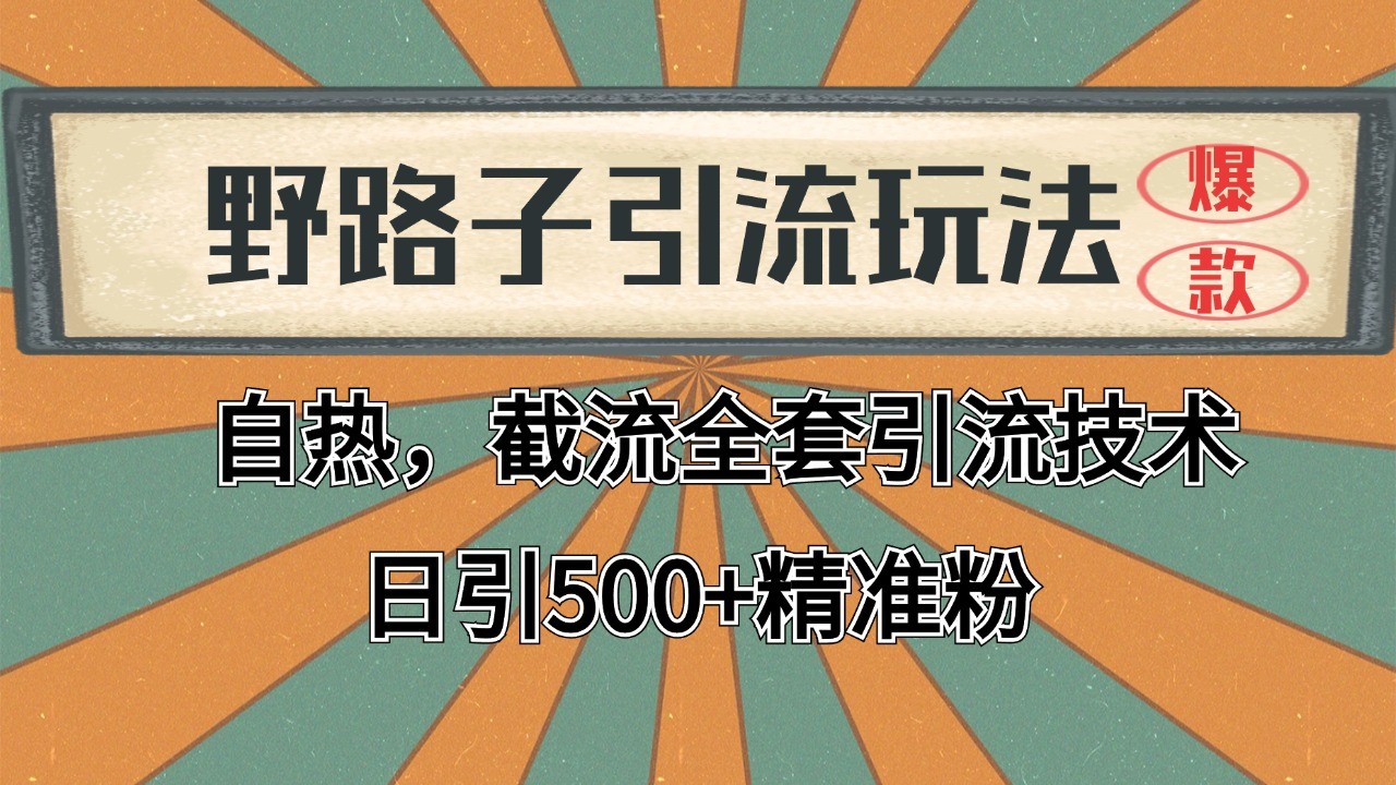 2024首发野路子引流玩法截流自热全平台打法，全自动引流【日引2000+精准客户】-靠谱项目库