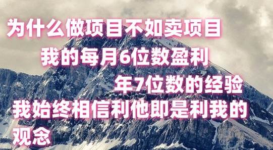 做项目不如卖项目，每月6位数盈利，年7位数经验-靠谱项目库