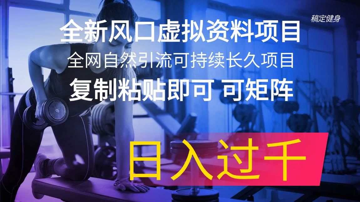全新风口虚拟资料项目 全网自然引流可持续长久项目 复制粘贴即可可矩阵…-靠谱项目库