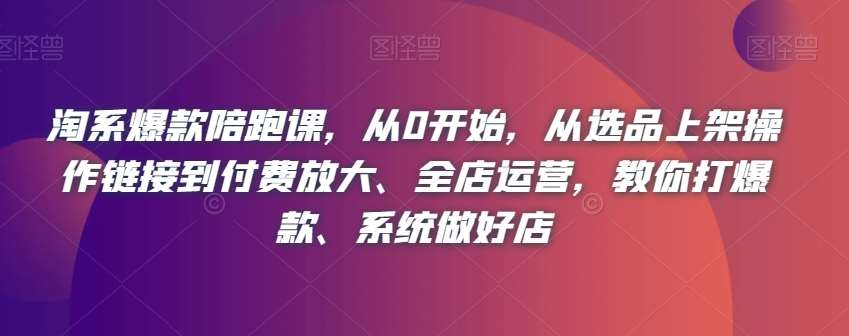 淘系爆款陪跑课，从0开始，从选品上架操作链接到付费放大、全店运营，教你打爆款、系统做好店-靠谱项目库