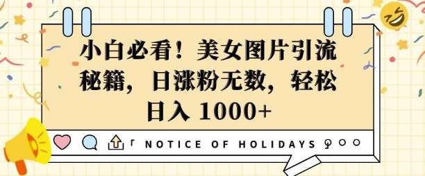 小白必看，美女图片引流秘籍，日涨粉无数，轻松日入几张【揭秘】-靠谱项目库