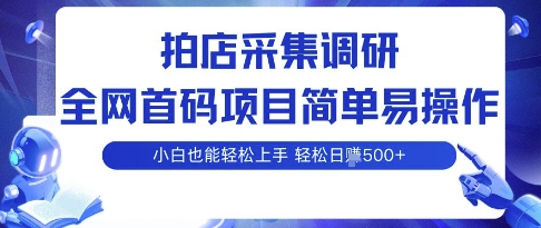 拍店采集调研，全网首码项目，简单易操作， 小白也能轻松上手，多账号操作，轻松日入5张【揭秘】-靠谱项目库