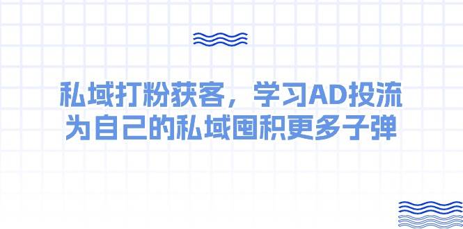 （10728期）某收费课：私域打粉获客，学习AD投流，为自己的私域囤积更多子弹-靠谱项目库