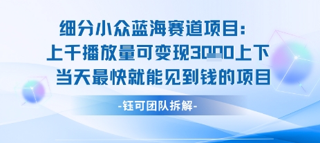 小众蓝海赛道项目：当天变现1k+适合新手操作 +适合长期玩-靠谱项目库