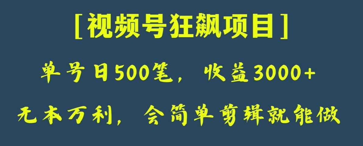 日收款500笔，纯利润3000+，视频号狂飙项目，会简单剪辑就能做【揭秘】-靠谱项目库
