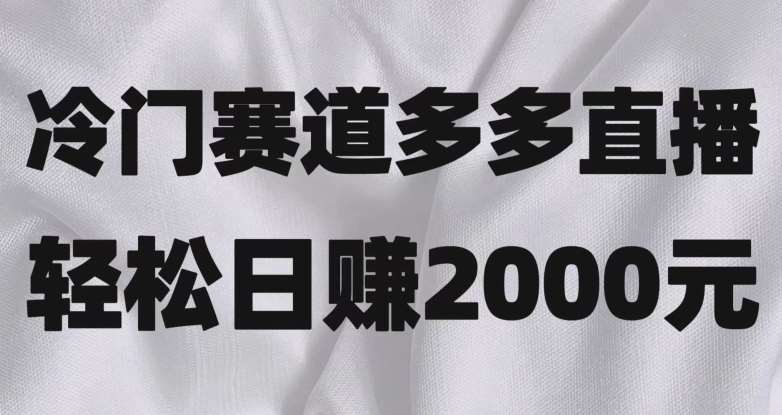 冷门赛道拼多多直播，简单念稿子，日收益2000＋【揭秘】-靠谱项目库