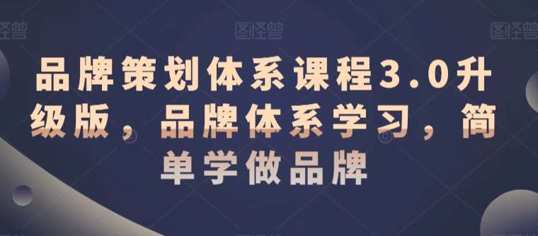 品牌策划体系课程3.0升级版，品牌体系学习，简单学做品牌-靠谱项目库