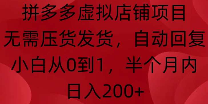拼多多虚拟店铺项目，无需压货发货，自动回复，小白从0到1，半个月内日入200+【揭秘】-靠谱项目库