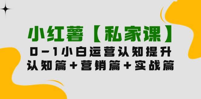 小红薯【私家课】0-1玩赚小红书内容营销，认知篇+营销篇+实战篇（11节课）-靠谱项目库