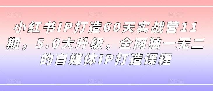 小红书IP打造60天实战营11期，5.0大升级，全网独一无二的自媒体IP打造课程-靠谱项目库