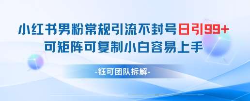 小红书男粉常规引流不封号日引99+变现简单 可矩阵可复制小白容易上手-靠谱项目库