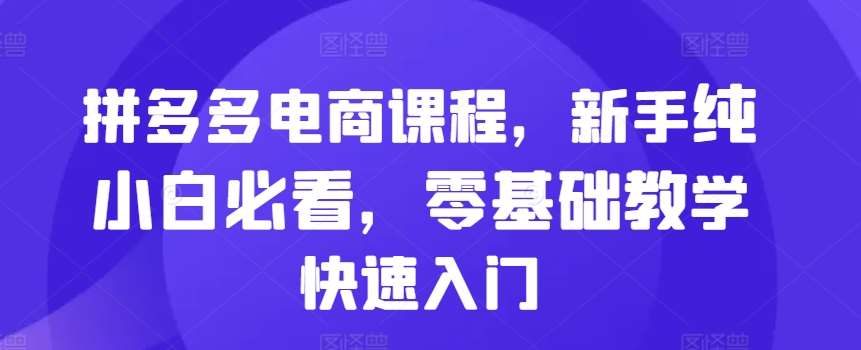 拼多多电商课程，新手纯小白必看，零基础教学快速入门-靠谱项目库