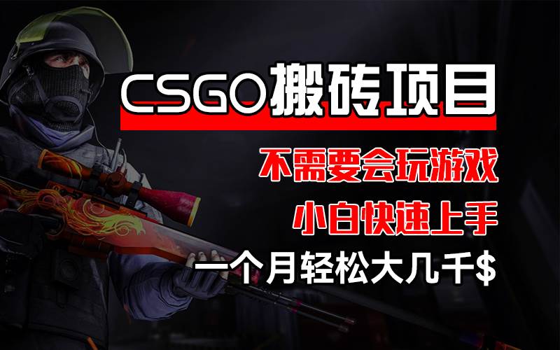 （12332期）CSGO 装备搬砖项目，操作简单，不需要会玩游戏，小白也能快速上手，一…-靠谱项目库