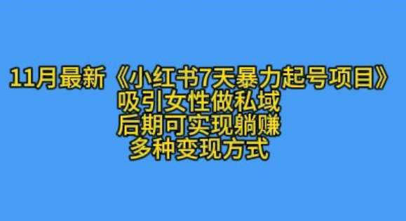 K总部落11月最新小红书7天暴力起号项目，吸引女性做私域【揭秘】-靠谱项目库